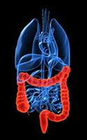 Colon hydrotherapy
