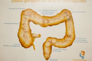 Darmspoeling - Body Tuning Clinic Amsterdam